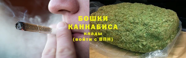 ешки Осинники