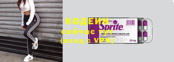 ешки Осинники