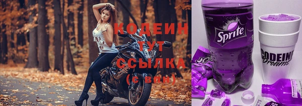 ешки Осинники