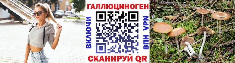 Псилоцибиновые грибы GOLDEN TEACHER  Купить где  Снежинск 