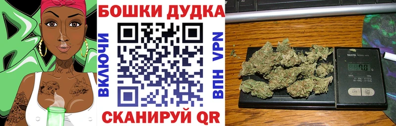 Купить закладки  Снежинск  Канабис индика 